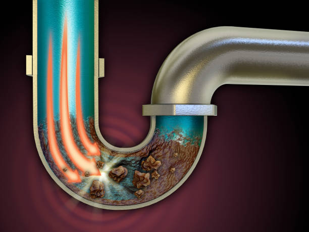 Blocked drains are a common plumbing issue that can disrupt your daily life and cause inconvenience. If you're experiencing slow drainage or backups in your sinks, toilets, or showers, it's important to understand the potential causes of blocked drains. In this article, we'll explore the common culprits behind this problem and discuss why it's essential to call a professional blocked drains plumber to resolve the issue. Accumulation of Debris: One of the primary reasons for blocked drains is the accumulation of debris in the pipes. Over time, hair, soap scum, food particles, and other materials can build up in your plumbing system, leading to clogs. Regular maintenance and cleaning can help prevent this issue. Grease and Oil Buildup: Pouring cooking grease or oil down the kitchen sink is a common mistake. These substances may be liquid when hot, but they solidify as they cool, coating the inner walls of your pipes and causing blockages. Proper disposal of cooking grease and oil is essential. Tree Roots: In outdoor drainage systems, tree roots can invade and penetrate pipes, causing significant blockages. This is a more complex issue and often requires the expertise of a professional blocked drains plumber to diagnose and resolve. Foreign Objects: Items accidentally flushed down toilets or washed down drains, such as sanitary products, paper towels, and children's toys, can create obstructions in the plumbing system. These foreign objects can be challenging to remove without professional assistance. Corrosion and Pipe Damage: Old or corroded pipes are prone to collapsing or developing cracks and fissures. Debris can get caught in these damaged areas, leading to blocked drains. A blocked drains plumber can inspect the pipes and recommend necessary repairs or replacements. Structural Issues: In some cases, the design and layout of your plumbing system can contribute to drainage problems. Poorly sloped pipes or incorrect installations can impede the smooth flow of water, causing blockages. A professional plumber can assess your plumbing system and make necessary adjustments. Why Call a Blocked Drains Plumber While some minor blockages can be cleared using DIY methods or chemical drain cleaners, it's often best to consult a professional blocked drains plumber for several reasons: Expertise: Plumbers have the training and experience to identify the root cause of the blockage and apply the right solution. Equipment: Professional plumbers have specialized tools and equipment, such as drain snakes and hydro-jetting machines, to effectively clear blockages. Preventative Maintenance: Plumbers can provide advice on preventing future blockages and recommend routine drain maintenance. Conclusion Blocked drains can be caused by a variety of factors, from everyday debris to more complex issues like tree roots and structural problems. To ensure a swift and lasting solution, it's wise to call a blocked drains plumber who can diagnose the issue and apply the appropriate remedy. Don't let blocked drains disrupt your daily life; reach out to a professional plumber for assistance 2